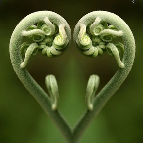 Happy St Valentine'sDay!
