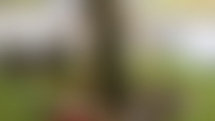 Saturday Clean Up - 3rd August 2019