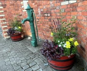 Wednesdays work on weeds!