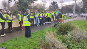 UCD Students - Team Building Morning with Castleknock Tidy Towns. 21 Feb 26