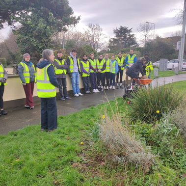 UCD Students - Team Building Morning with Castleknock Tidy Towns. 21 Feb 26