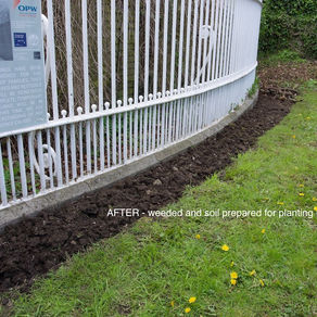 Cleanup at Castleknock Gate outside Phoenix Park