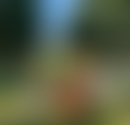 Sat Clean Up - 25 out in 25 degrees!