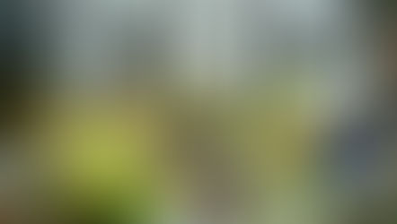 Weekly Sat Clean Up - 19th Aug '23