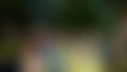 Saturday 31st Aug Clean Up - making a difference, by the dozen!