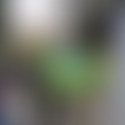 Coffee and a chat on our final litter pick of the year!