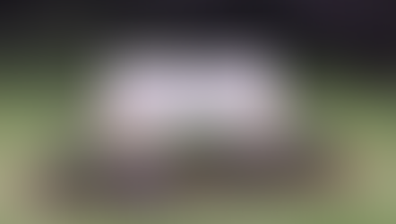 Blooming continues...