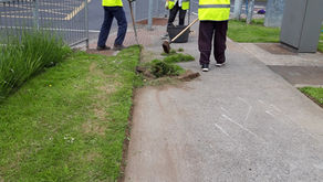 Weekly Clean Up - Sat 5 June 21