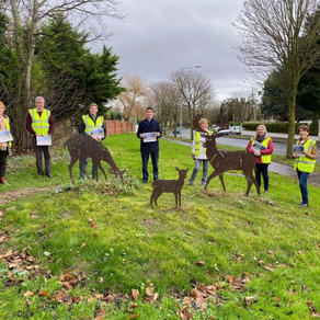 Thanks Jack Chambers T.D.