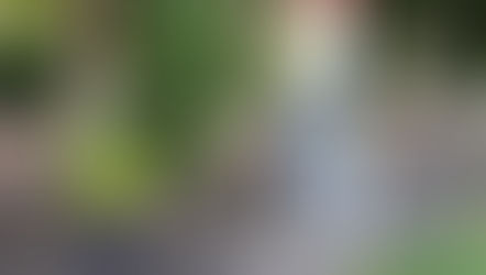 Weekly Clean Up - Sat 10 Jul '21