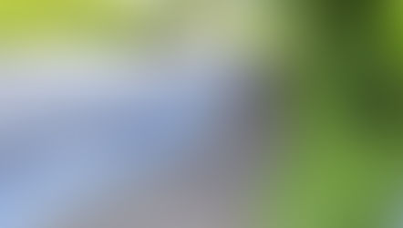 Saturday spick and span