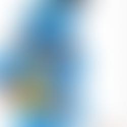 Fingal Fix My Street Genie news