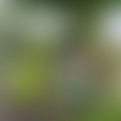 Saturday Clean Up 5th July'25