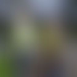 Super Clean Up - Sat 9th April '22