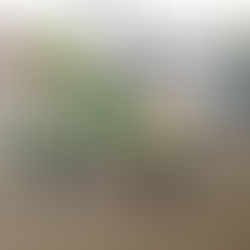 Wed 29th June '22 - lucky 13