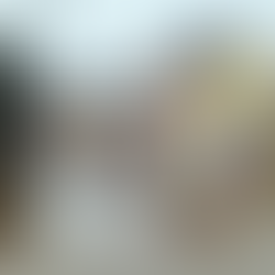 Stop Flooding in Ireland 