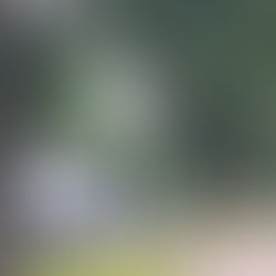 Watering high baskets