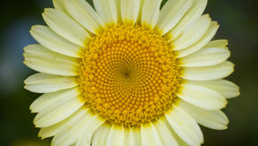 Tomorrow's Sat Clean Up