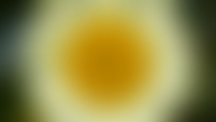 Tomorrow's Sat Clean Up