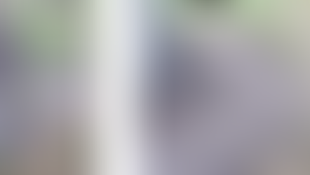 Weekly Saturday Clean Up - 6/6/20