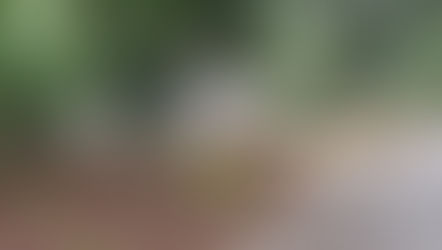 New Pollinator Bed at Church Green