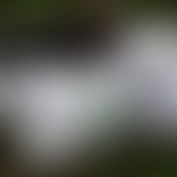 Enrich enriches the village