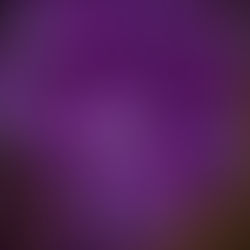 Weekly Sat Clean Up tomorrow