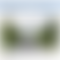 New 30km per hour speed limit