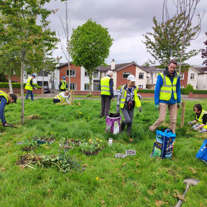 Saturday Clean Up 2nd May'26