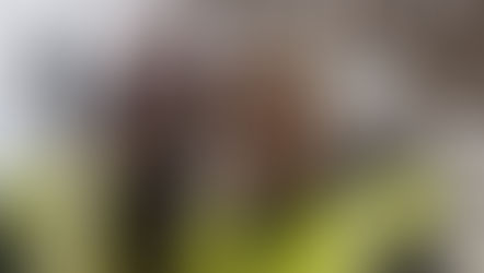 More litter to be found