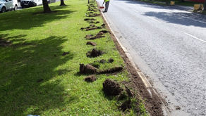 Weekly Saturday Clean Up - 24th August 2019