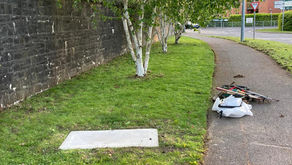 Fairhaven and Phoenix Park Racecourse