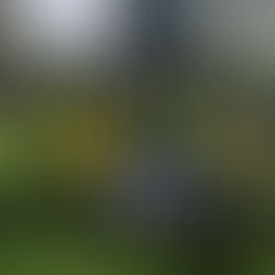 Weekly Sat Clean Up 19th Apr'25