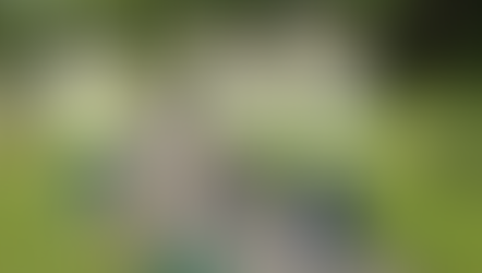 Sat Clean Up - 4th June '22