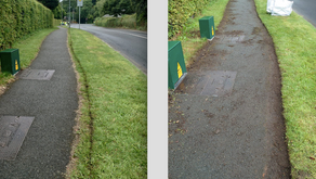 Weekly Clean Up - Sat 31 July '21