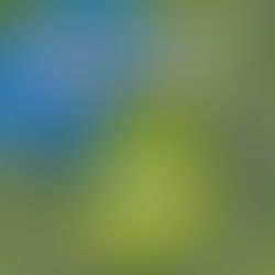 Castleknock Monster Spring Clean. 25th April -Register Now!