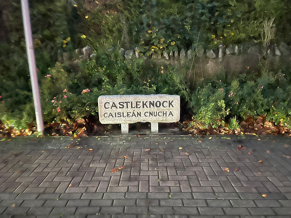 Village name stone restored and reinstalled