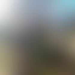 Tree Planting Workshop