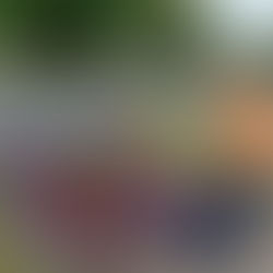 New planting at Laurel Lodge