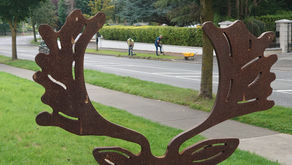 Weekly Clean Up - Sat 4th Sept