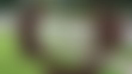 Weekly Clean Up - Sat 4th Sept