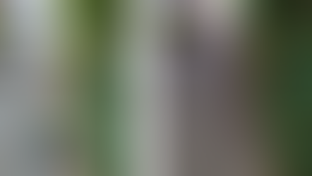 Weekly Clean Up - Sat 28th Aug