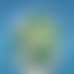 2021 Clean Air Together results