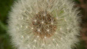 Almost Time for tomorrow's Sat Clean Up