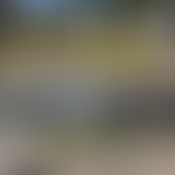 One of the adopted areas across Castleknock