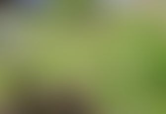 Sat Work - 20 July '24