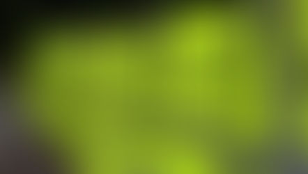 First Clean Up of 2021 - SAT 15 MAY