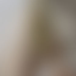 White's Road planting