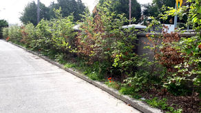 Castleknock Park Residents Pull Together