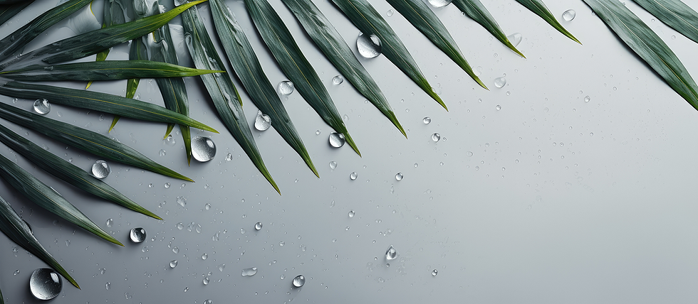 AdobeStock_809893543.png